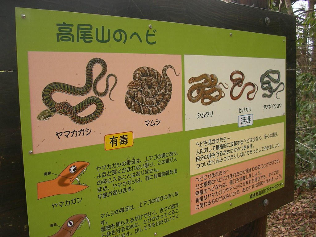 Takaosan - snake