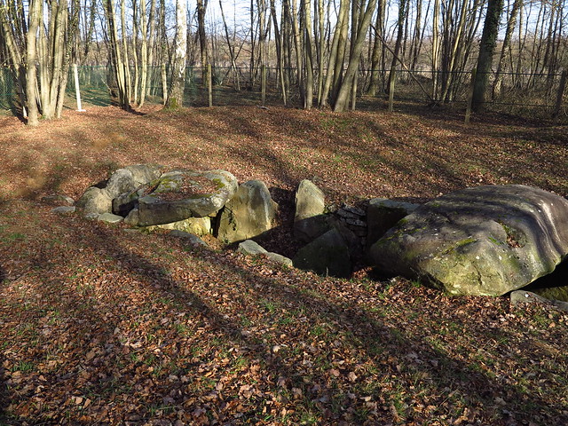 Le dolmen de la Pierre Plate (ou allée couverte de la Pierre Plate, ou simplement Pierre Plate) est une allée couverte située à Presles, en  île de France.