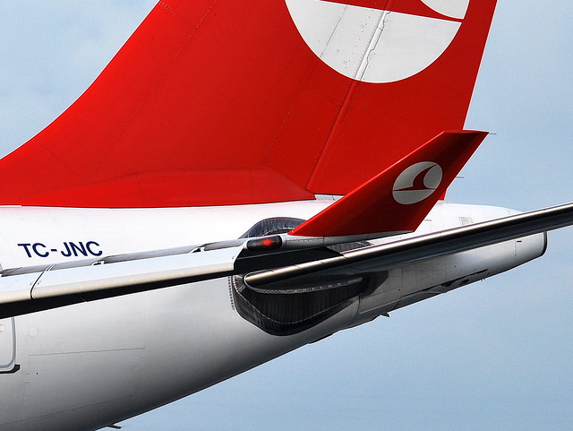 Turkish Airlines Airbus 330 (TC-JNC)