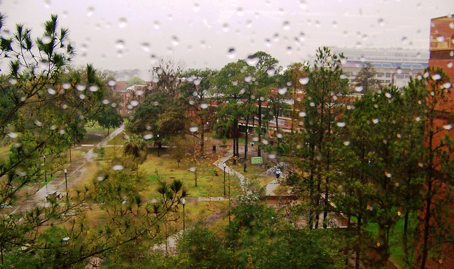 A Wet Campus