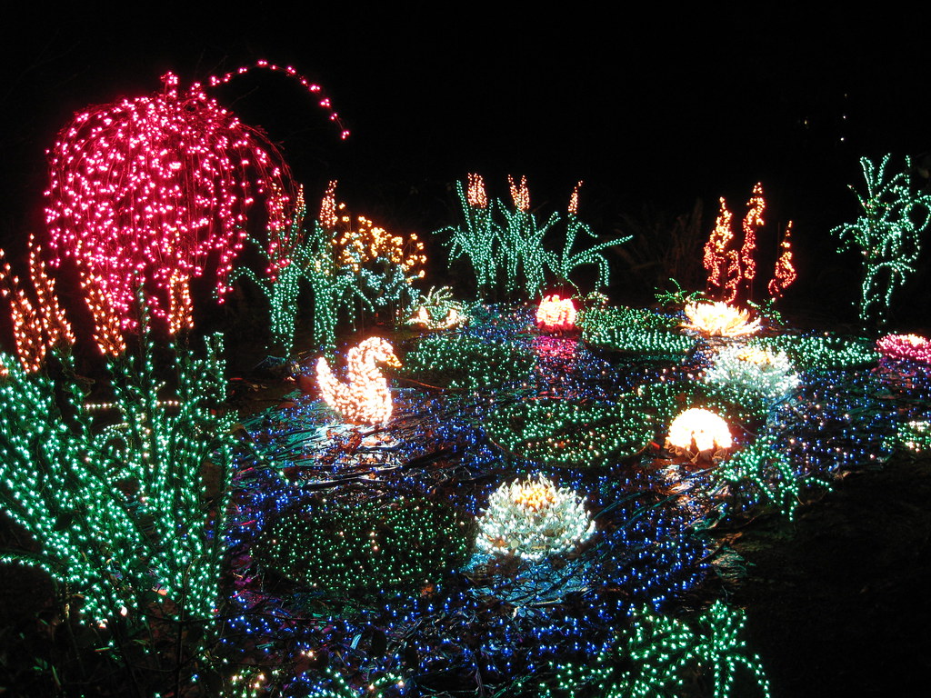 Garden D Lights Bellevue Botanical Garden Www Bellevuebota Flickr