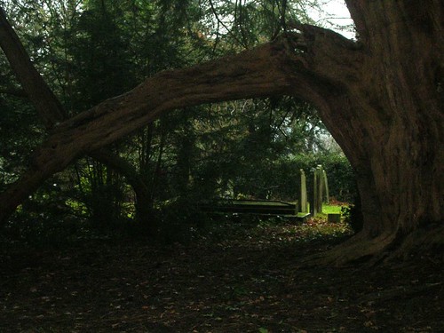 view through yew Woldingham to Oxted (short)