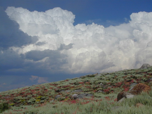 Thunderheads