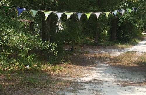 Bunting | by flyingwombat