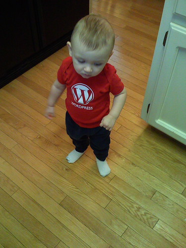 Wordpress