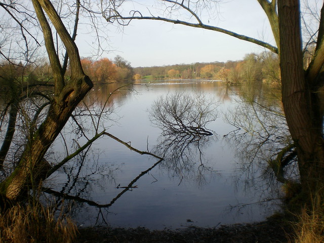The pond at Mote Park