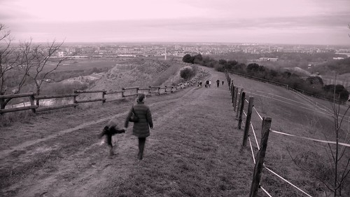 Down to the town by voltarius, Toulouse, France,
Toulouse view from pech david
my doughter and my girlfriendtoulouse pechdavid lx2