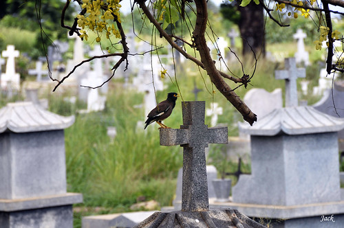Visite au cimetière
