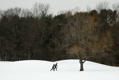 trees winter snow portland couple pair maine nordic xcskiing crosscountryskiing synchronicity mybrotherandsisterinlaw alexandrobin