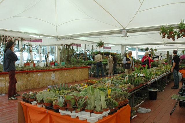 the Green market