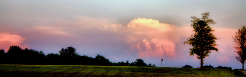trees sunset sky field clouds alabama montgomery
