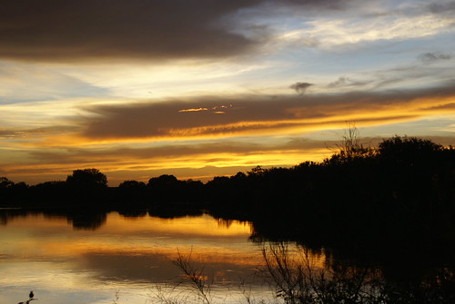 Sunset across pond by Zynaida Concepts,