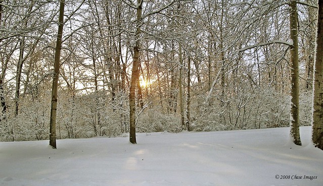 Sunlit Snow