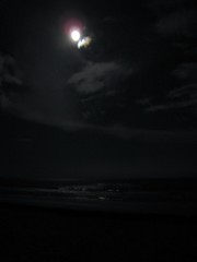 Palmetto Dunes Beach at Night under a Full Moon