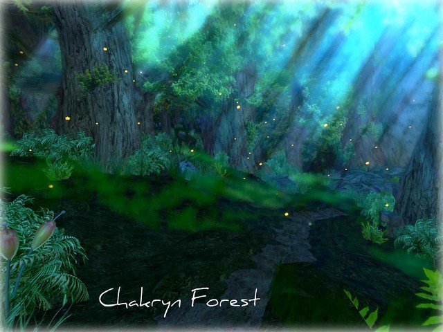 Chakryn Forest