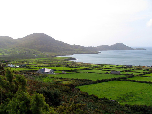 IMG_2344