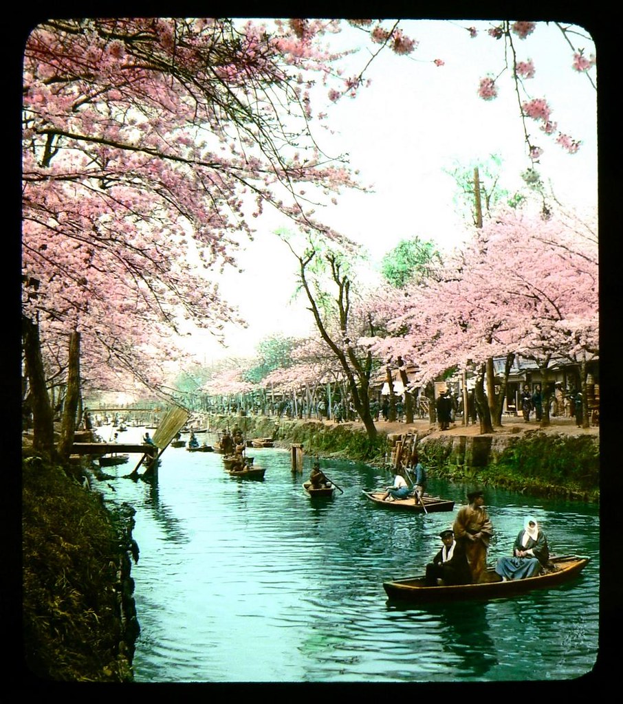 THEN AND NOW AT THE RUSTIC EDOGAWA PARK IN TOKYO -- The Locals Enjoy Pleasure-Boating on a Fine Spring Day
