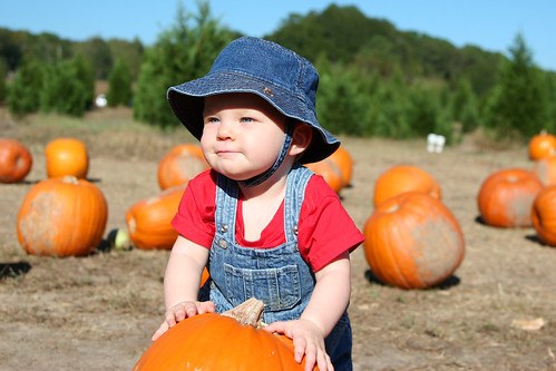 1st Pumpkin Patch | by amsrun
