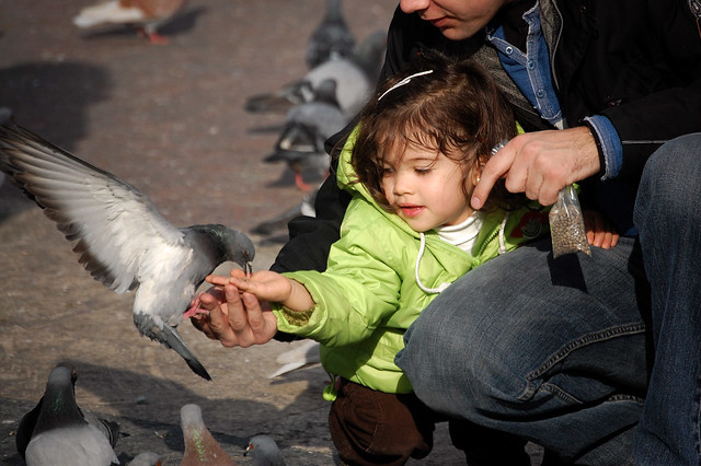 Girl feeding a pigeon (Barcelona)