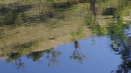 reflections australia nsw sofala turonriver merryjack
