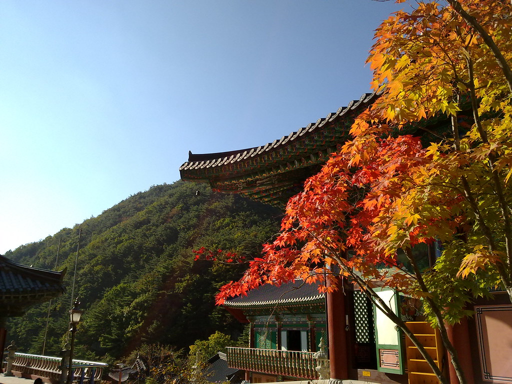 팔공산 관암사의 가을 Autumn in Gwanamsa, Palgongsan, Daegu