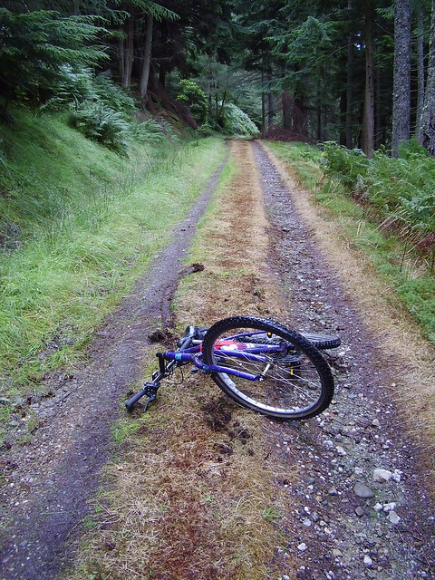 Oops - bike crash on hillside track - Loch Eck - Aug 2006