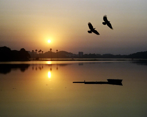 sunset sun india lake reflection film nature birds silhouette 35mm boats pentax k1000 kodak iso400 55mm bombay utata mumbai powai iitbombay utatafeature kodakultramax400 camera:make=pentax smcpk55mmf20 meta:exif=1233219857 camera:model=pentaxk1000