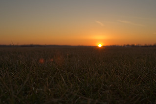 Sunset Over the Grass