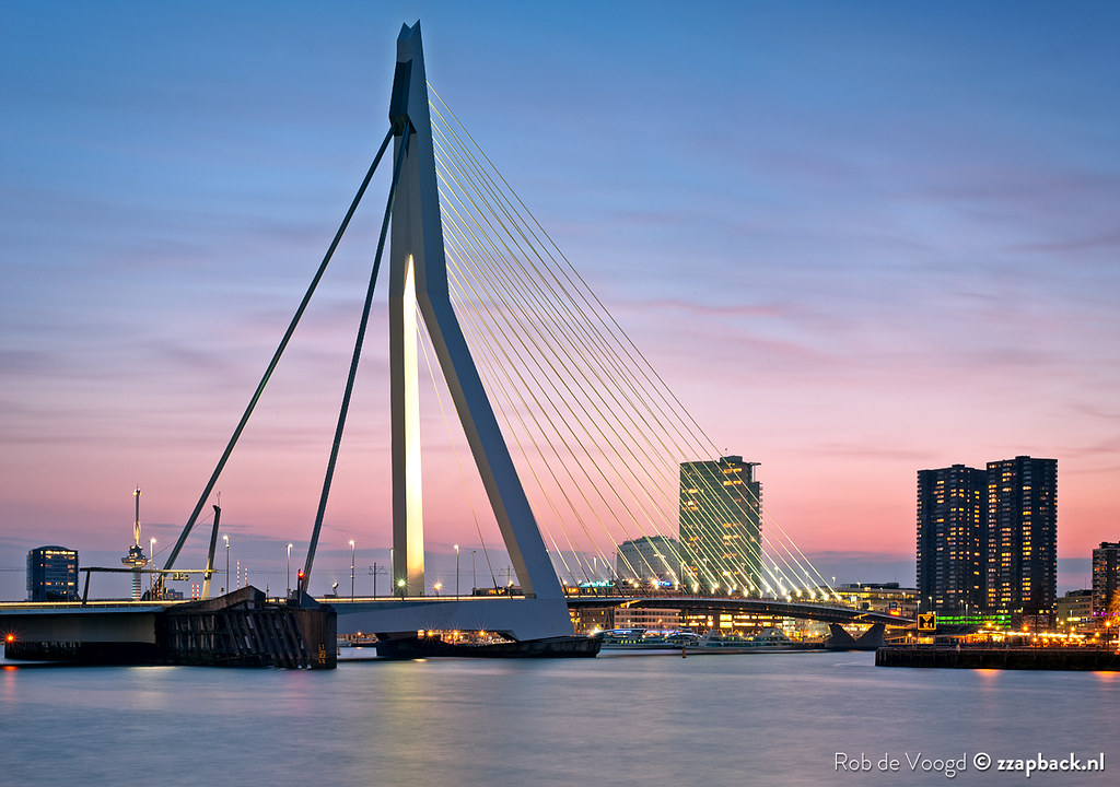 Delicatesse / Erasmusbrug / Rotterdam