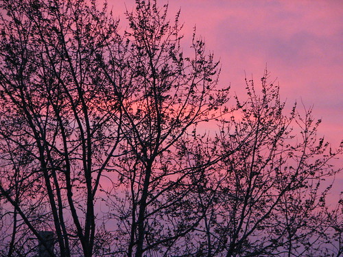 December sunrise by chrisinphilly5448, chrisinphilly08 chrisinphilly5448 christopherwoodsphotography philadelphia philly frankford pennsylv