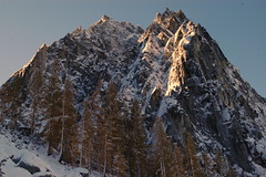 The Stand