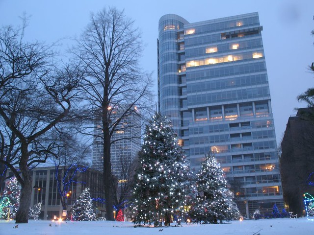 Cathedral Place in Snow
