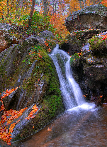 "Fall" Water - Shenandoah National Park by Darren Barnes_Artist