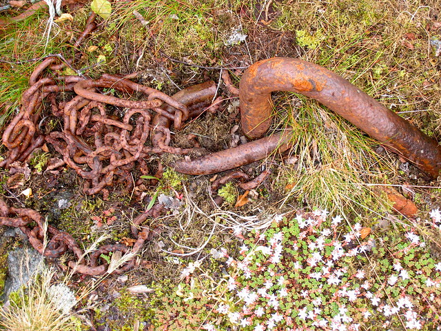 Rusten kjetting -|- Rusty chain