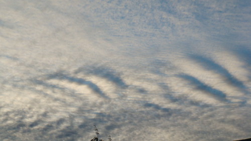 morning silhouette club clouds sunrise work landscape widescreen country january layers 2008 169 cirrus altocumulus altostratus shx forsgate shawnhikichi