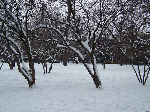 Bughouse Square in the Snow
