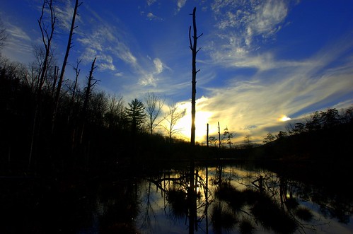 blue trees sunset sky nature clouds dark virginia pond nikon d70s wideangle swamp sillhouette blacksburg superwideangle laurelridge pandapaspond southwestvirginia ultrawideangle newrivervalley 14mm