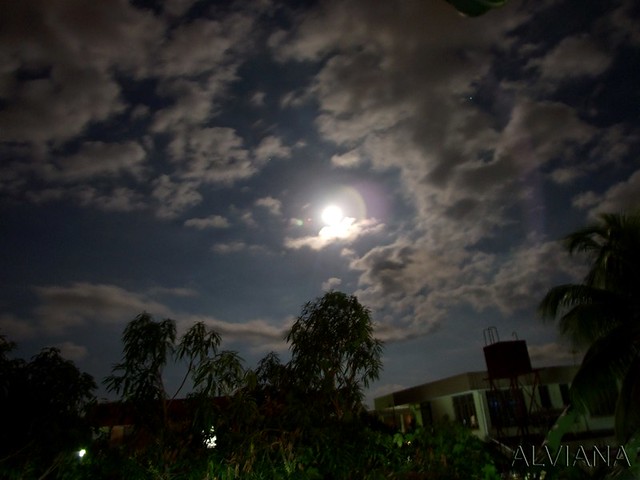 Moon from My Home Backyard