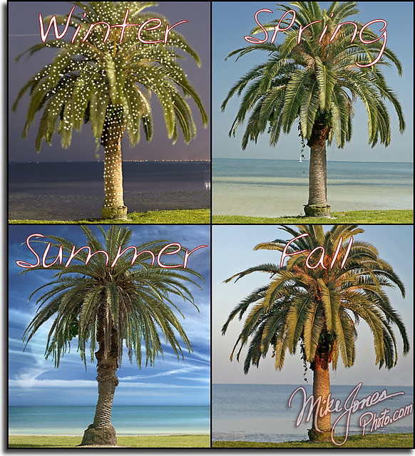 The Seasons of Florida