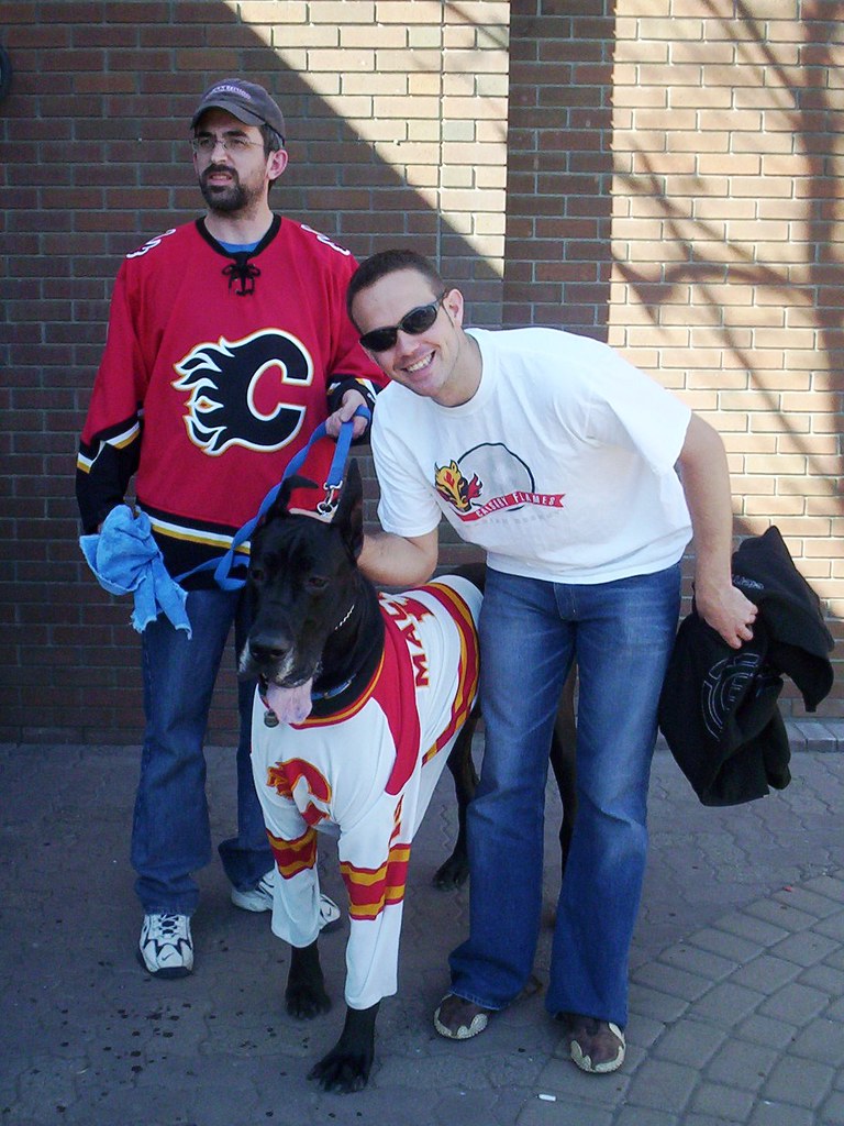 Calgary Flames dog