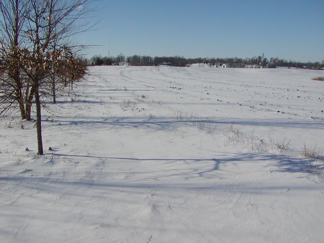 Coneflower Prairie - bluff with snow