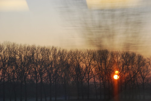 trees france train sunrise dawn screensaver eurostar