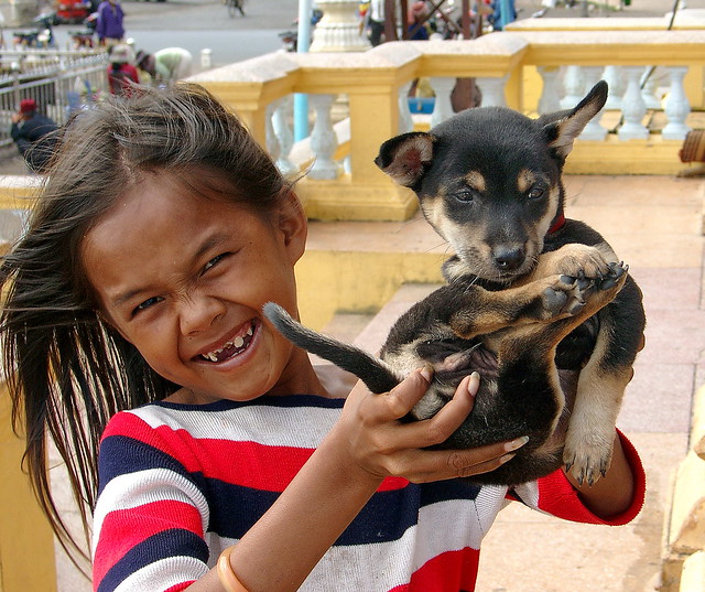 Phonm Penh. Une fillette et son chien