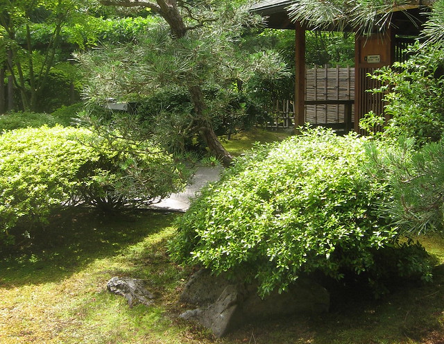 Portland Japanese Garden, IMG_7543