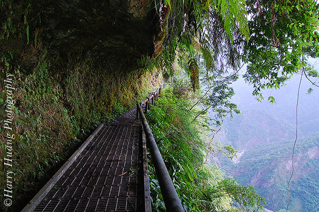 3_0646-玉山國家公園-瓦拉米步道-八通關古道-花蓮 (Walami) National Trail, Yushan National Park, Hualien, Taiwan