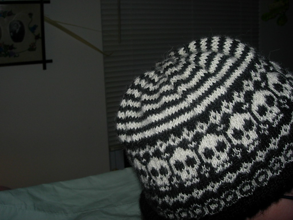 Skully hat detail | So, I have this list of knitting techniq… | Flickr