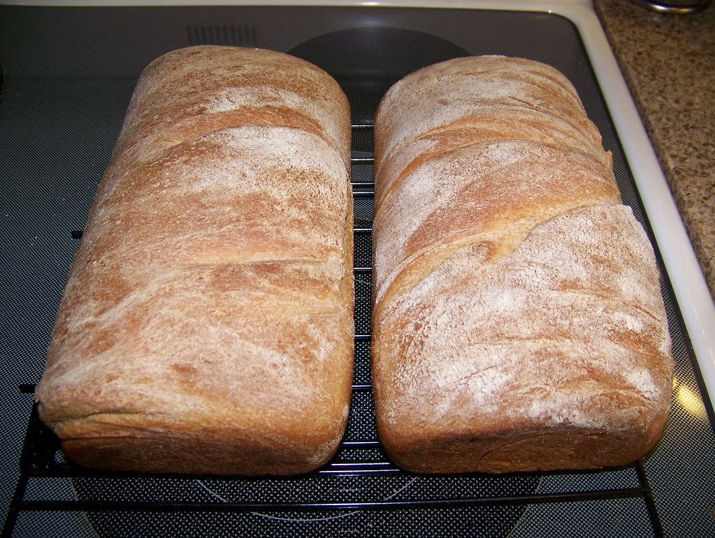 Day 4: Whole Wheat Bread
