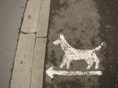 Dogs must walk on road