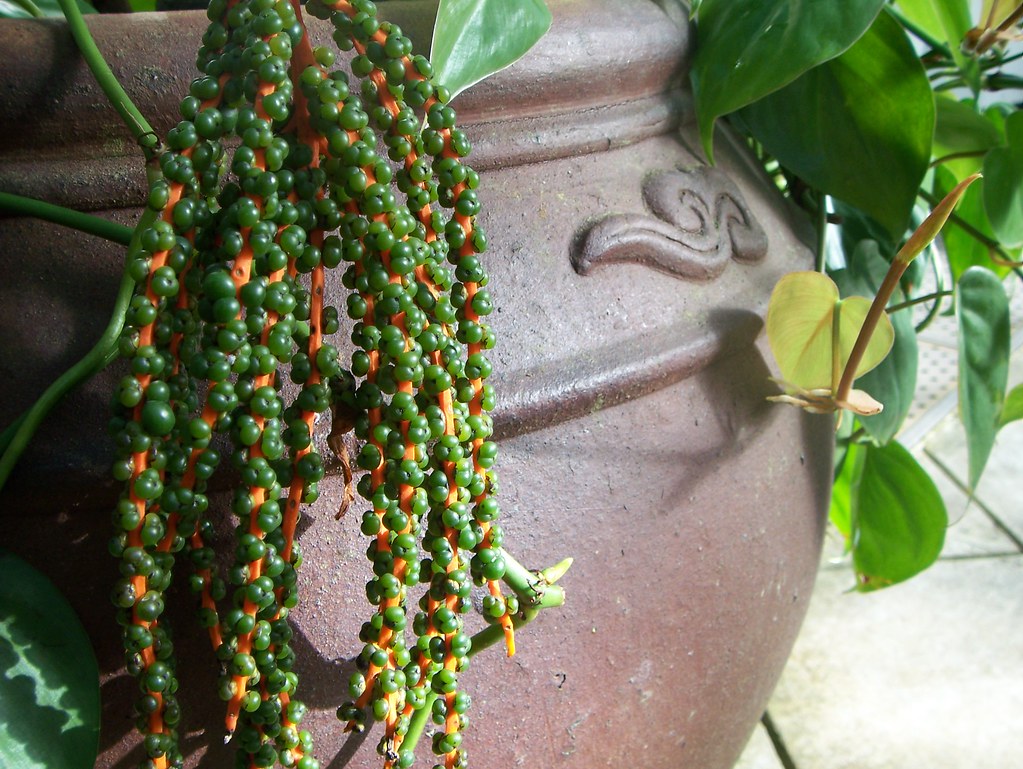 Beads & Buckets