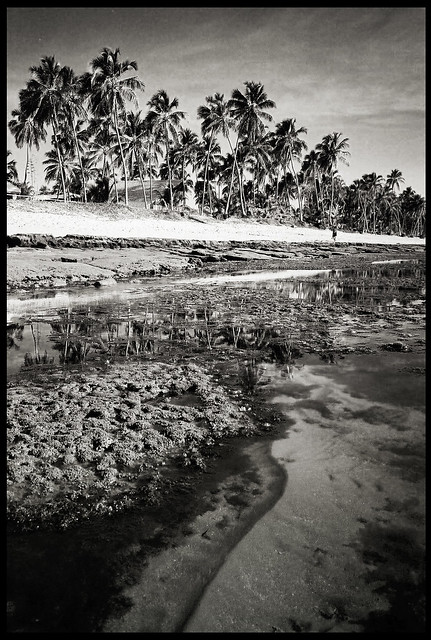 Praia de Forte - Tide Out - Yashica T4 Zoom 28mm